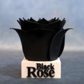 The Rose Light stick Stand: 3D Printed Kpop Memorabilia